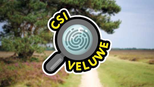 Activiteit / Dagje weg CSI Veluwe op de Veluwe